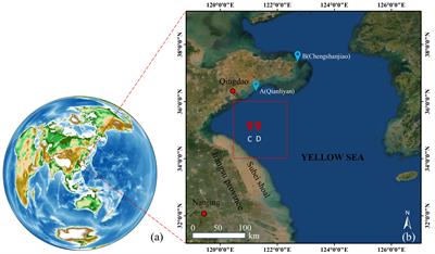 A novel quantitative analysis for diurnal dynamics of Ulva prolifera patch in the Yellow Sea from Geostationary Ocean Color Imager observation